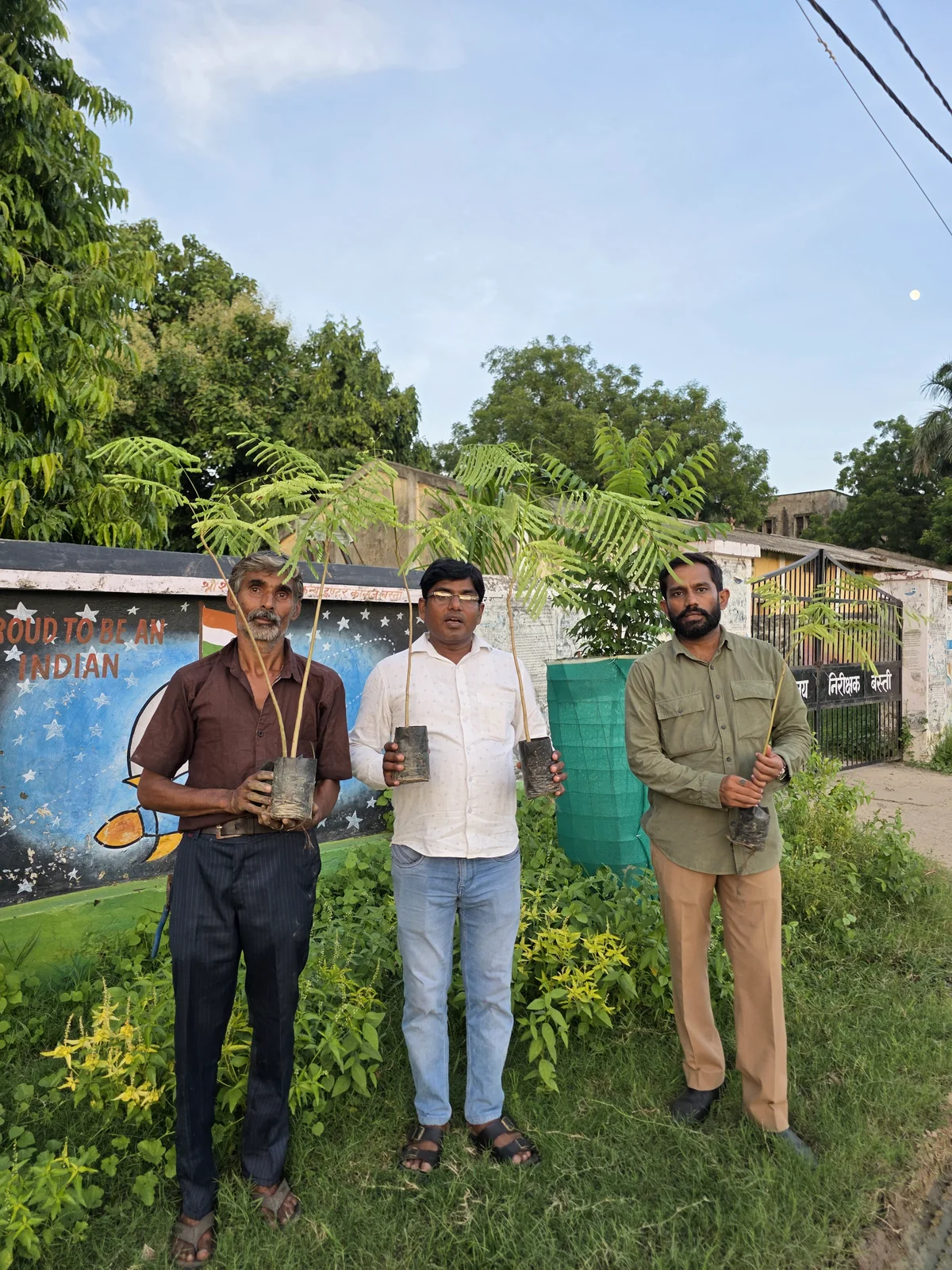Plantation & Green Action 3
