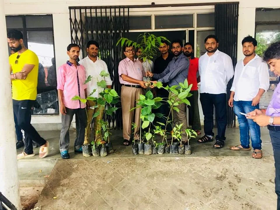 Plantation & Green Action 4