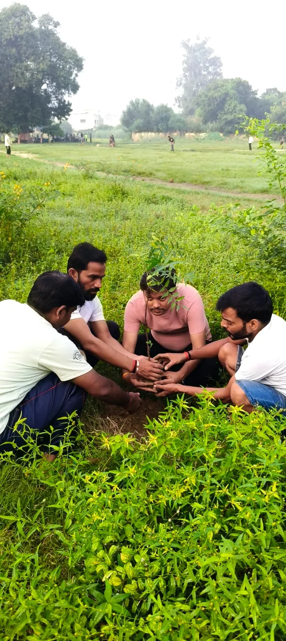 Plantation & Green Action 10