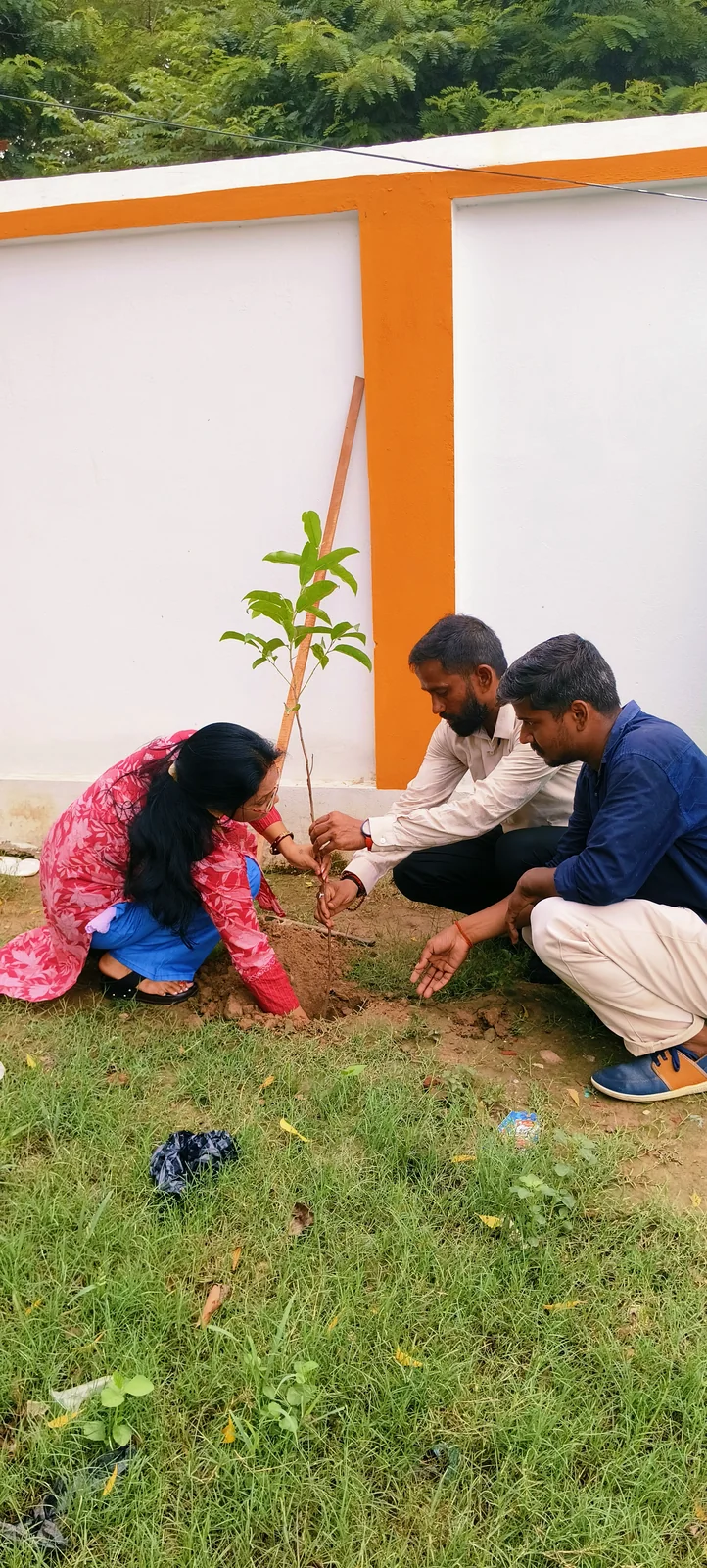 Plantation & Green Action 11