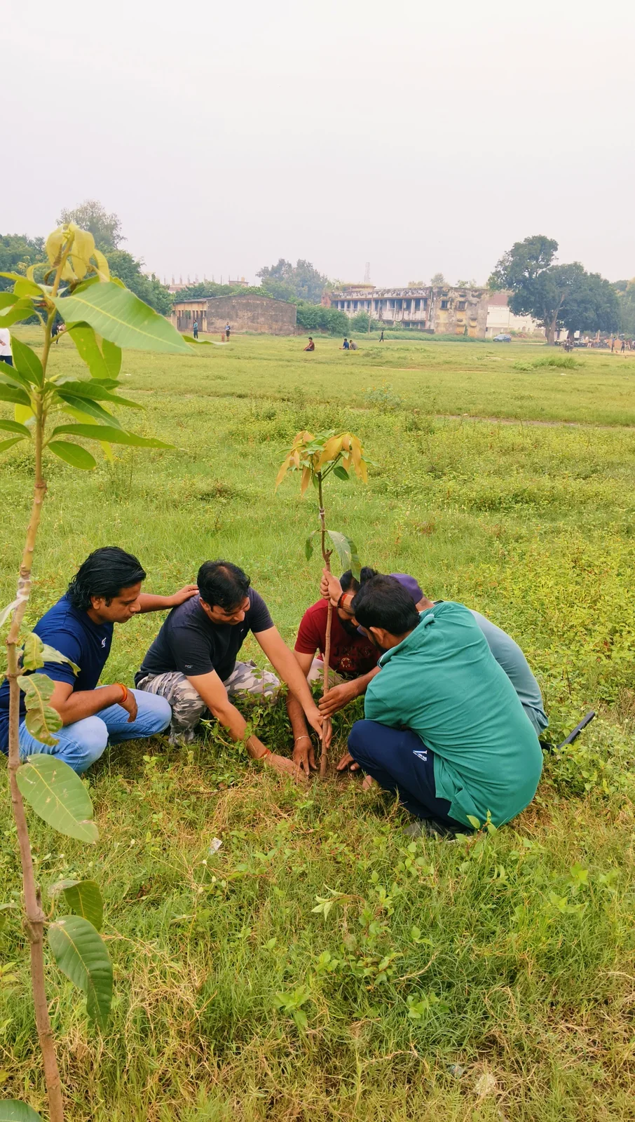 Plantation & Green Action 12